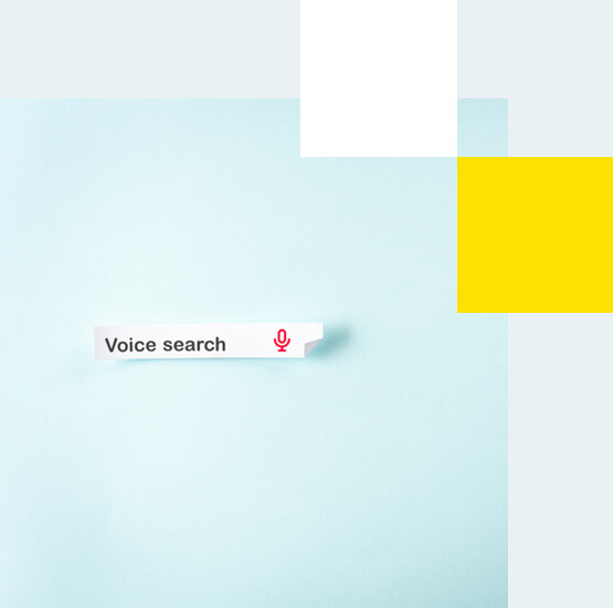 Voicebot - wyszukiwanie głosowe